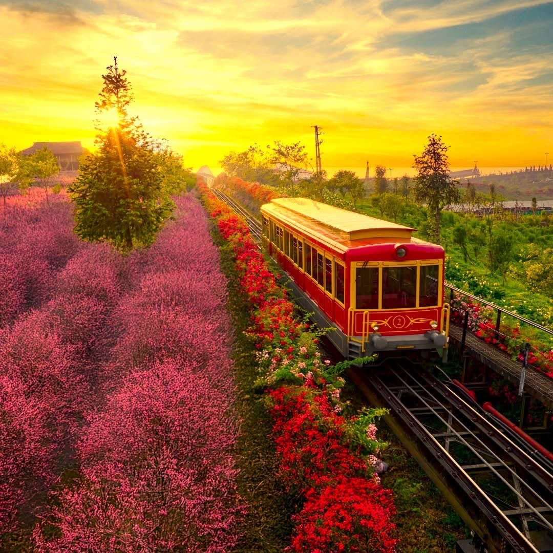 destination image